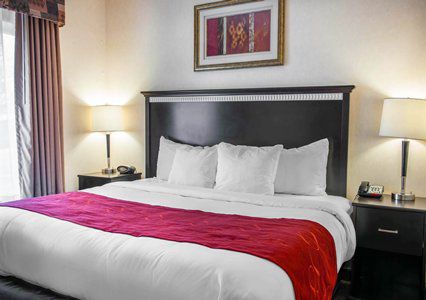 Comfort Hotel